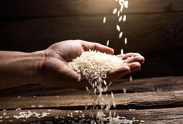 Imported Medium Grain Rice