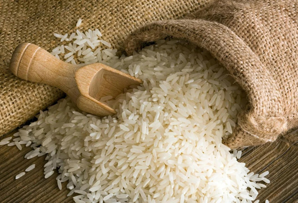 European Medium Grain Rice
